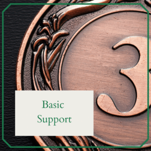 🥉 Basic Support (Package)